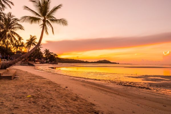 beautiful-tropical-beach-sea-ocean-with-coconut-palm-tree-sunrise-time-min